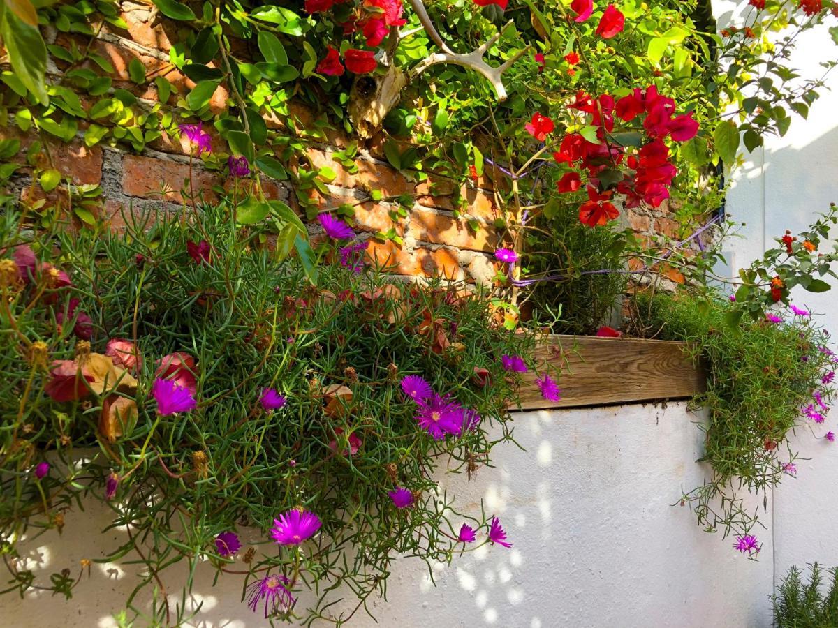 بيت شباب Casa Chuparrosa سان ميغيل دي الليندي المظهر الخارجي الصورة