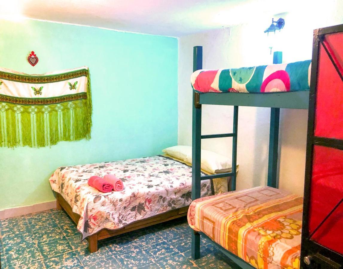 بيت شباب Casa Chuparrosa سان ميغيل دي الليندي المظهر الخارجي الصورة