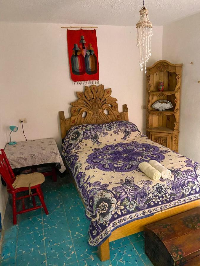 بيت شباب Casa Chuparrosa سان ميغيل دي الليندي المظهر الخارجي الصورة