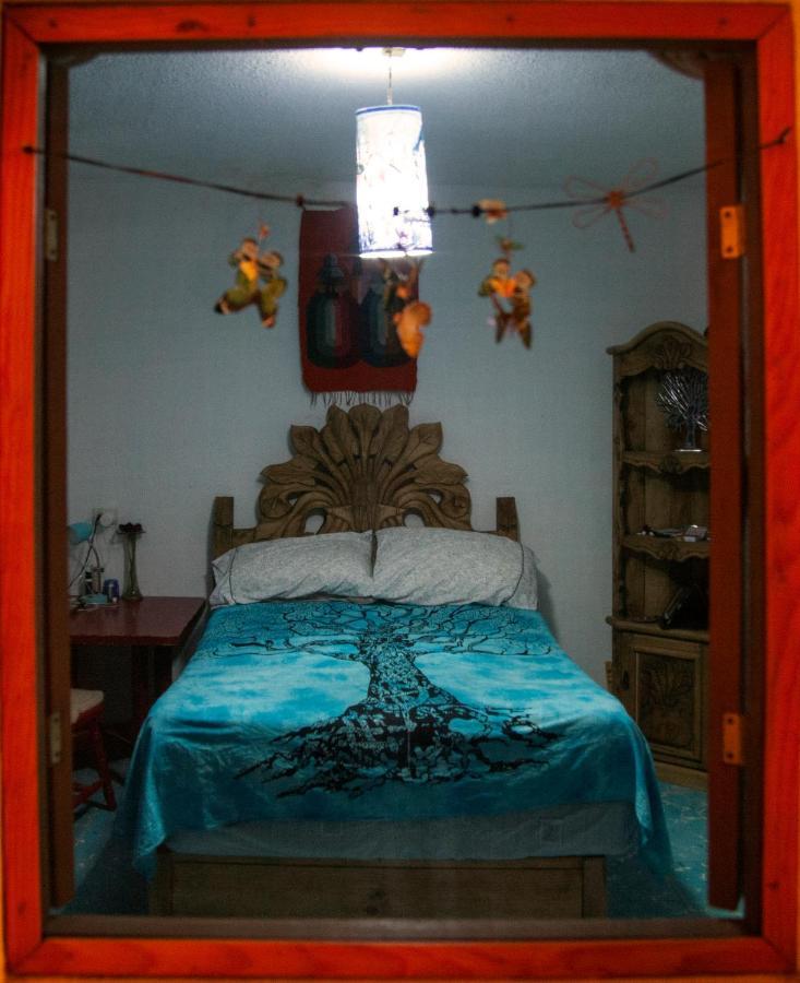 بيت شباب Casa Chuparrosa سان ميغيل دي الليندي المظهر الخارجي الصورة